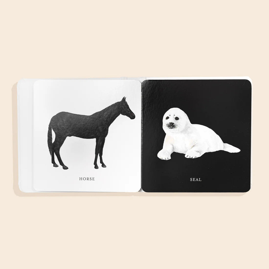 Black and White Contrast Book for Baby