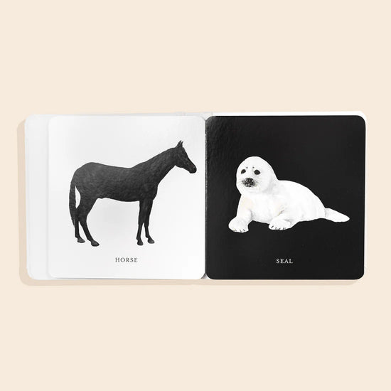 Black and White Contrast Book for Baby