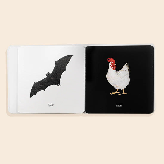 Black and White Contrast Book for Baby