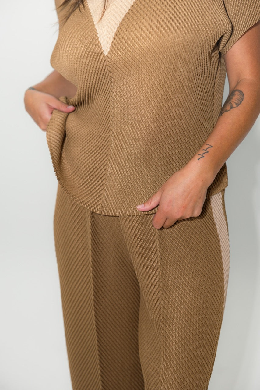 Elasticized Waist Pleated Tapered Pants