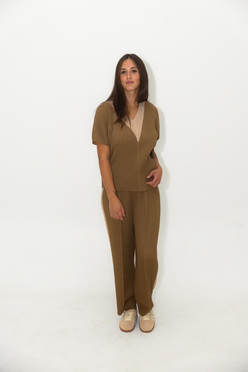 Elasticized Waist Pleated Tapered Pants