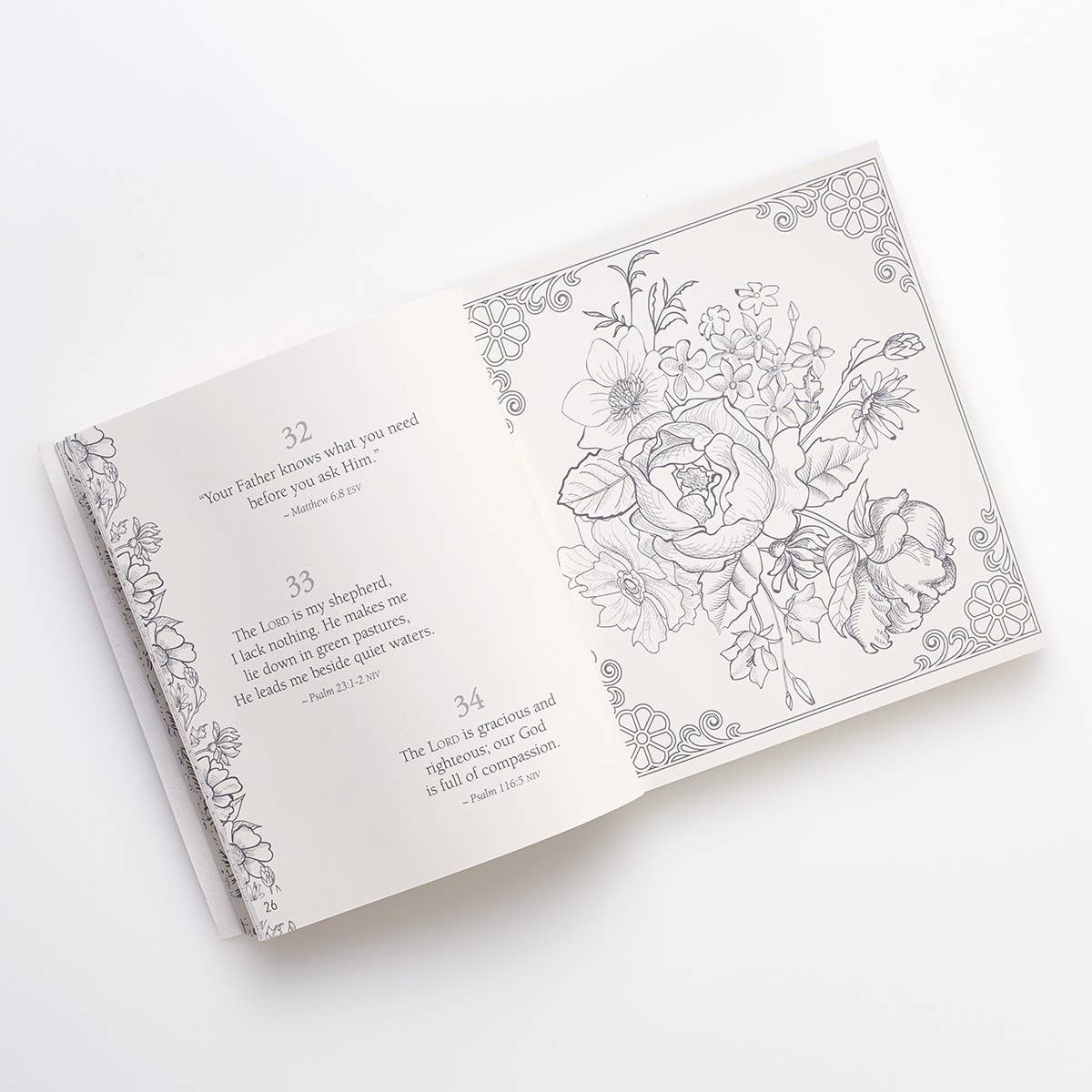 Coloring Devotional 365 Promises God's Word in Color